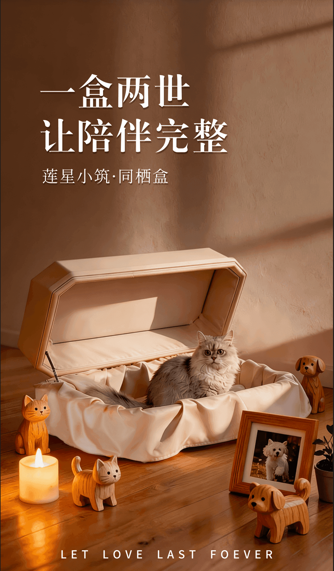 同栖盒