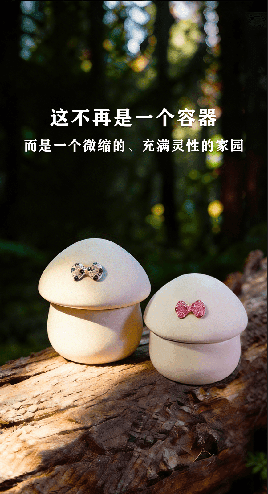 自然环境呈现