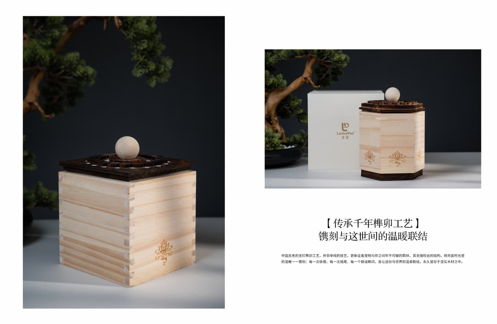 尘宠纪念盒